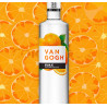 Van Gogh Vodka Oranje